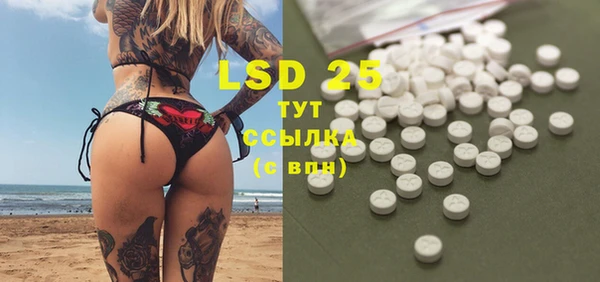 индика Балахна