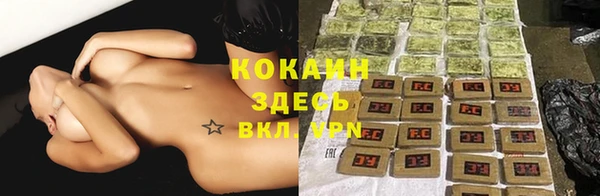 индика Балахна