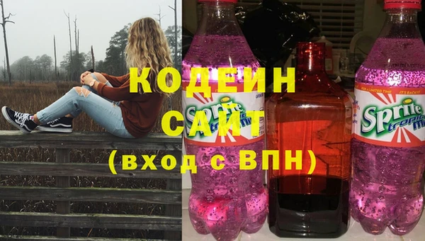 индика Балахна