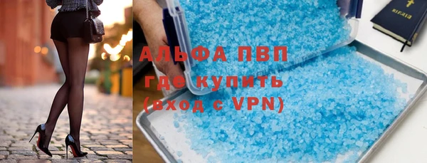 индика Балахна