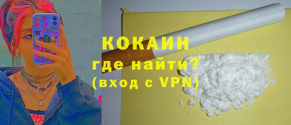 индика Балахна