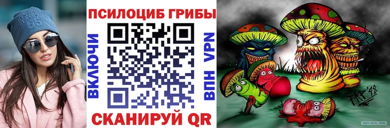 kraken как зайти  Староминская  Псилоцибиновые грибы Psilocybine cubensis 