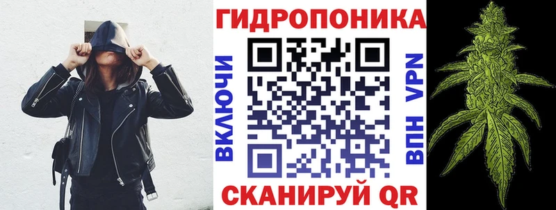 Каннабис VHQ  купить закладку  Староминская 